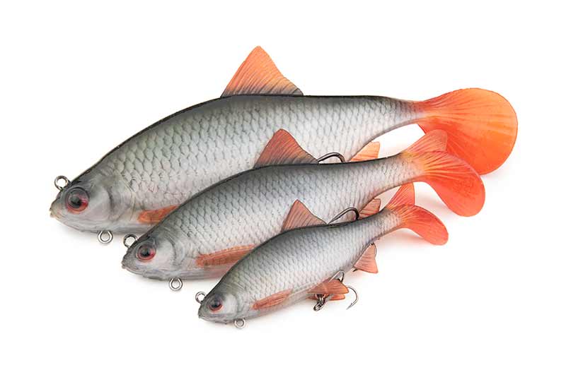 Swimbait Fox Rage Ultra Realistic Replicant, Roach, 10cm/18g