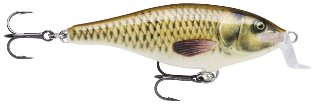 SHALLOW SHAD RAP SSR05  CARP