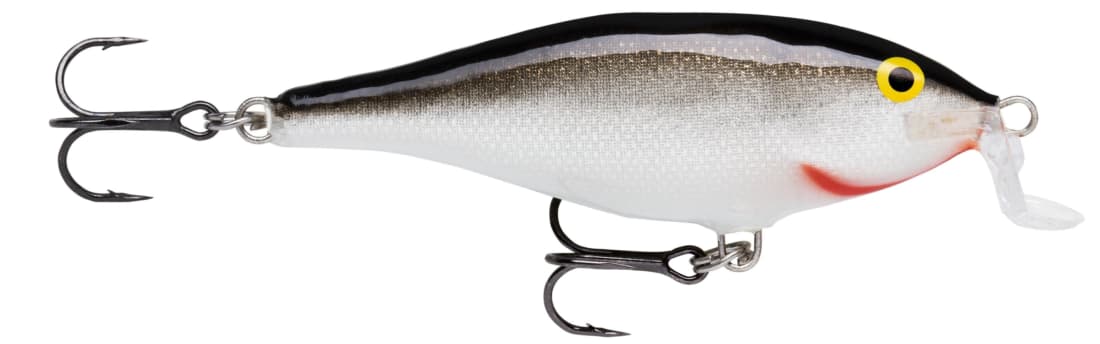 SHALLOW SHAD RAP