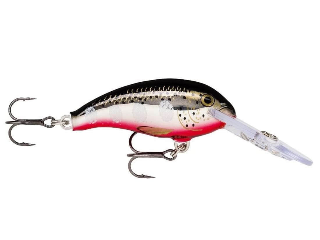 SHAD DANCER SDD04 SFL