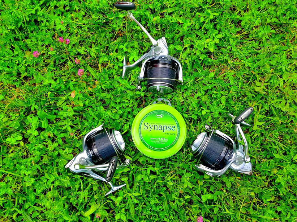 Fir monofilament Katran Synapse Wild Carp 0.305mm/14.40lb/6.52kg, 1000m