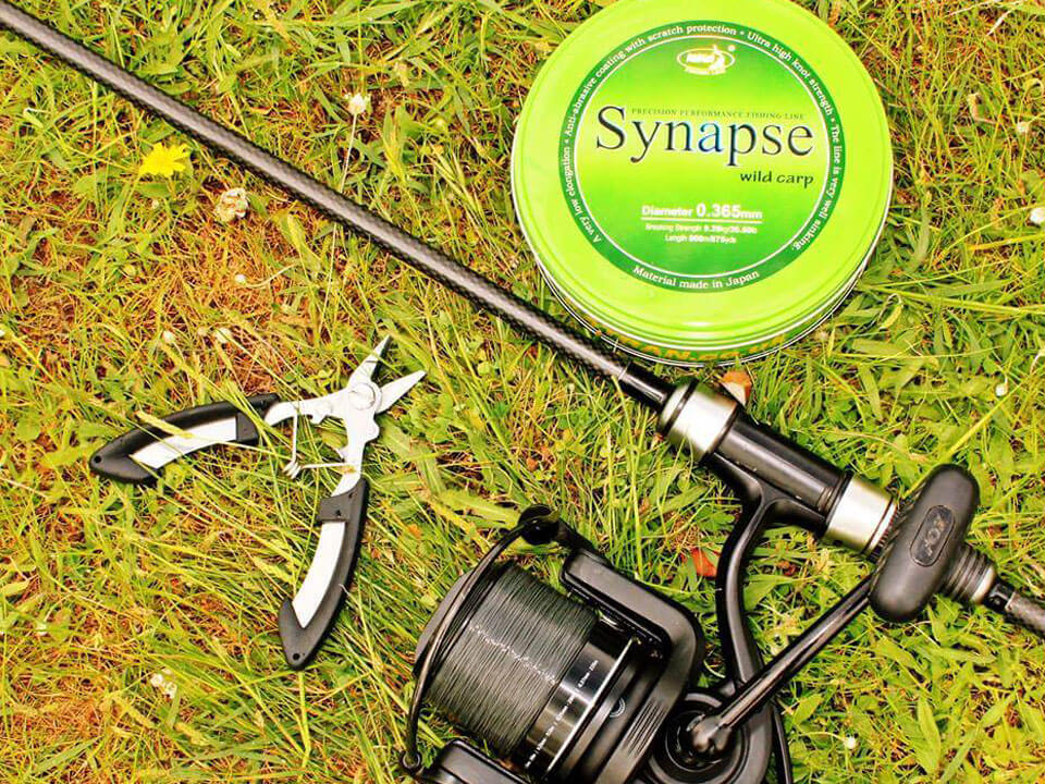 Fir monofilament Katran Synapse Wild Carp 0.305mm/14.40lb/6.52kg, 1000m