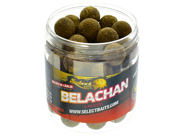Boilies critic echilibrat Select Baits, Belachan&Mussel, 20mm