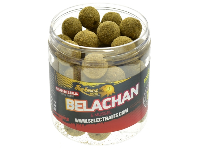 Boilies de cârlig special întărit Select Baits, Belachan&Mussel, 20mm