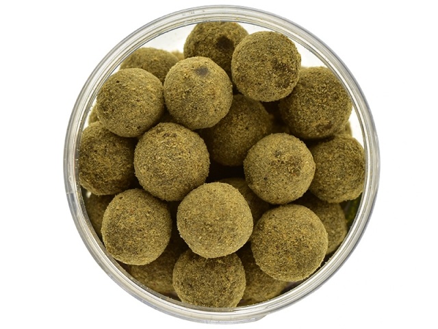 Boilies de cârlig special întărit Select Baits, Belachan&Mussel, 20mm