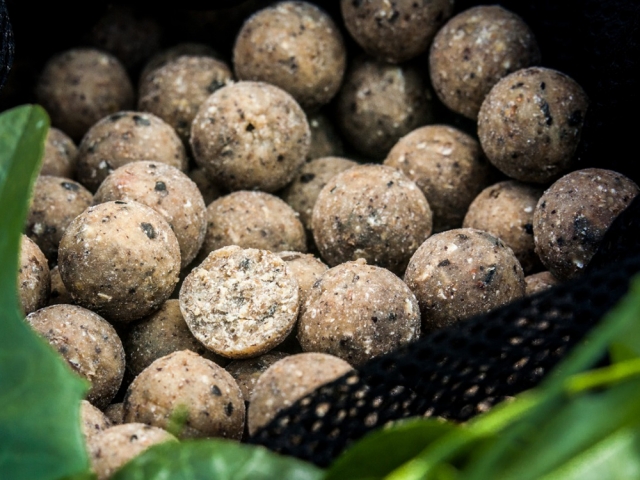 Boilies Select Baits, Nutty Scopex, 15mm, 800g