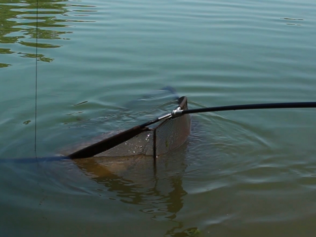 Minciog Select Baits Lift Up Net 42