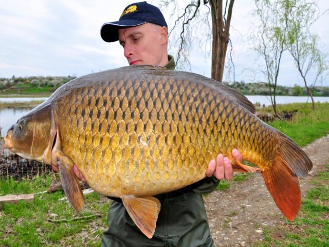 Boilies solubil Select Baits, Hot Fish + Monster Crab & Black Pepper Oil, 20mm/1kg