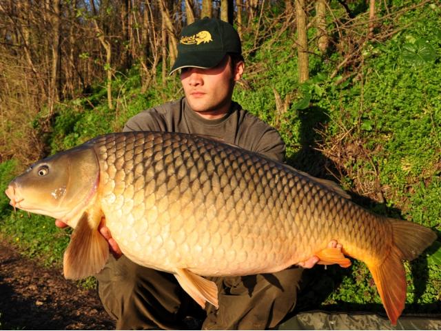 Boilies solubil Select Baits, Belachan + Mussel&Belachan, 20mm/1kg