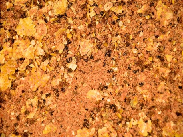 Păstură Select Baits Spicy Flakes, 5kg