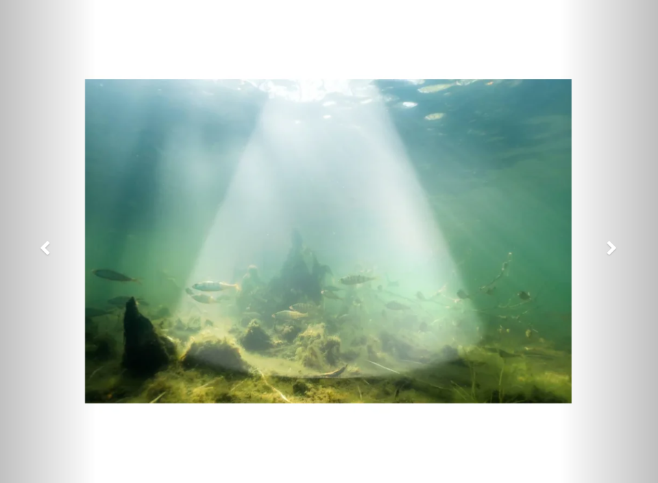 Sonar pescuit Deeper Smart Sonar CHIRP+ 4 cu AI, GPS și cartografiere 2D/3D