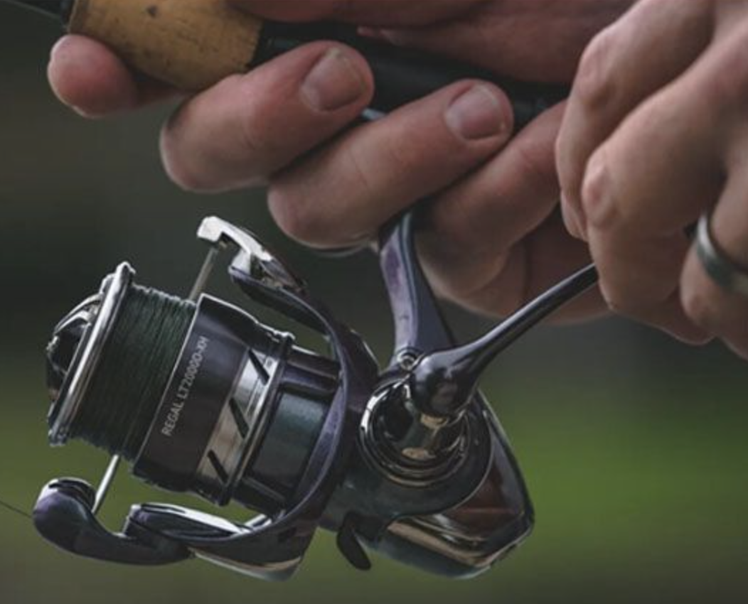 Mulinetă Daiwa 24 Regal LT 2500D-XH | Raport 6.2:1 | 6 rulmenți