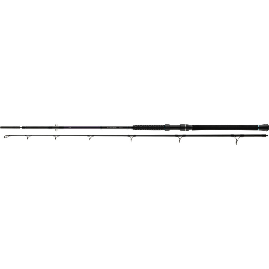 Lansetă Daiwa Powermesh Catfish Boat, 2.55m/100-400g, 2buc