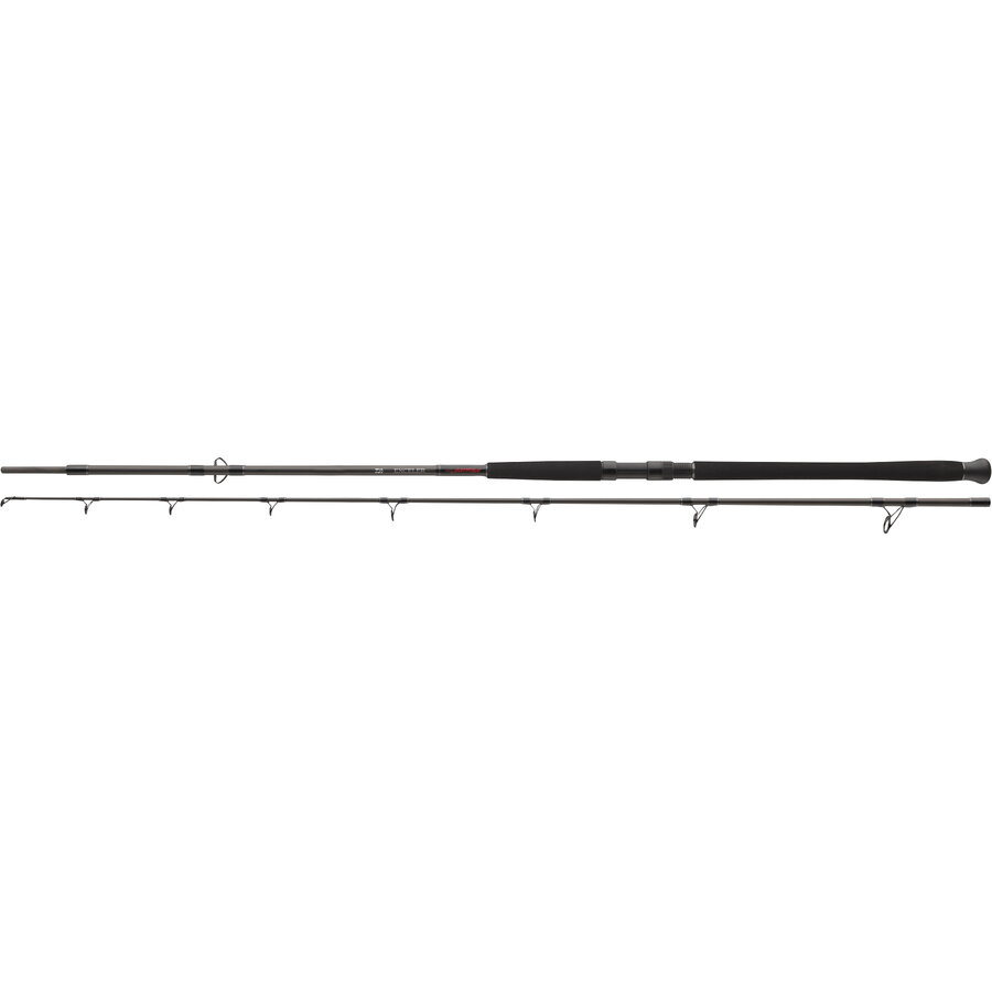 Lansetă Daiwa Exceler Catfish Boje, 2.70m/200-600g, 2buc