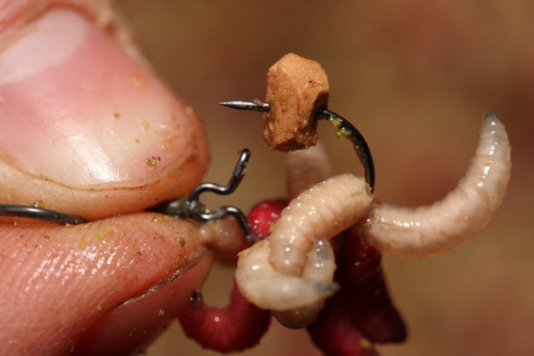 Clips pentru viermuși Korda Maggot Klip, Small, 10buc/plic