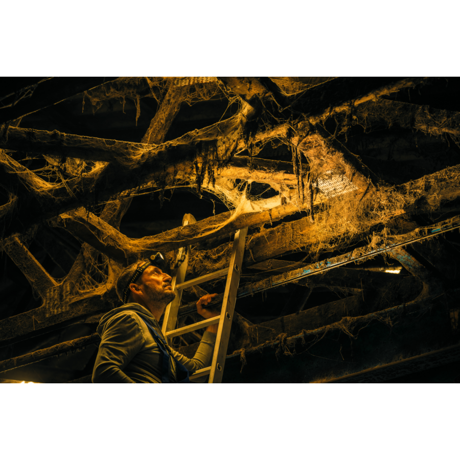 Lanternă de cap reîncărcabilă Ledlenser H5R Work, 500 Lumeni