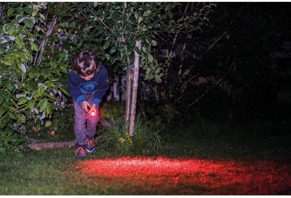 Lanternă pentru copii Ledlenser Kidbeam4, Green Box, 70 Lumeni