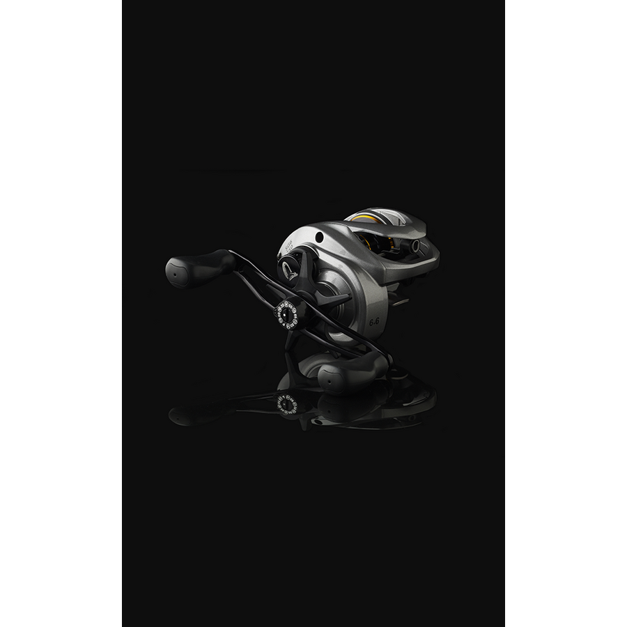 Multiplicator Savage Gear SG6 250 BC LH