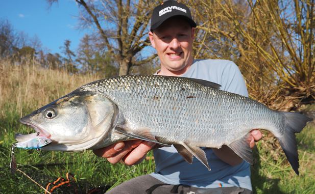 Spinnertail Savage Gear Fat Tail Spin, White Silver, 6.5cm/16g