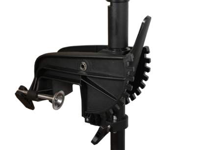 Motor electric Haswing Protruar 2HP 85lbs Brushless