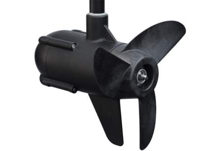 Motor electric Haswing Protruar 2HP 85lbs Brushless