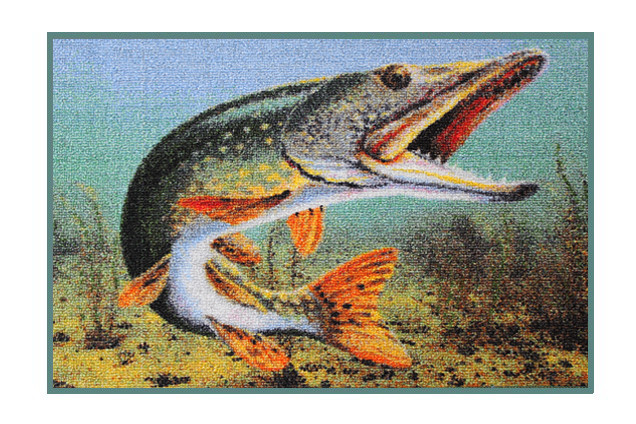 Covor ştiucă 3D Delphin, 60x40cm
