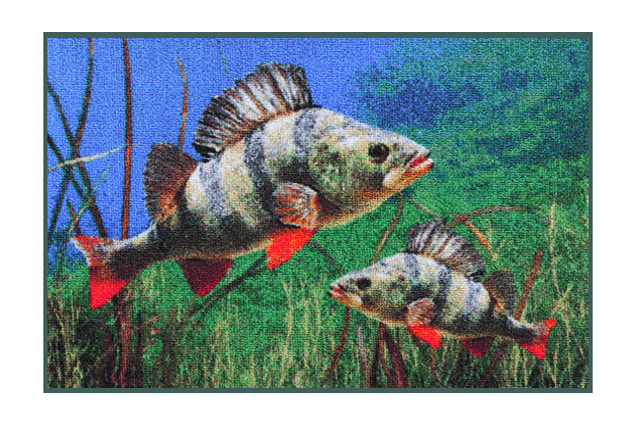 Covor biban 3D Delphin, 60x40cm