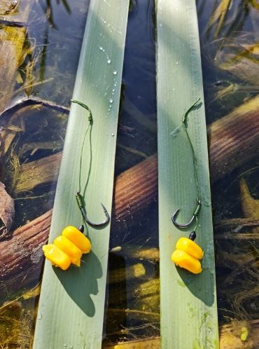 Cârlige legate FeederX Wild Carp Strong Hook, Nr.10, 3buc/plic