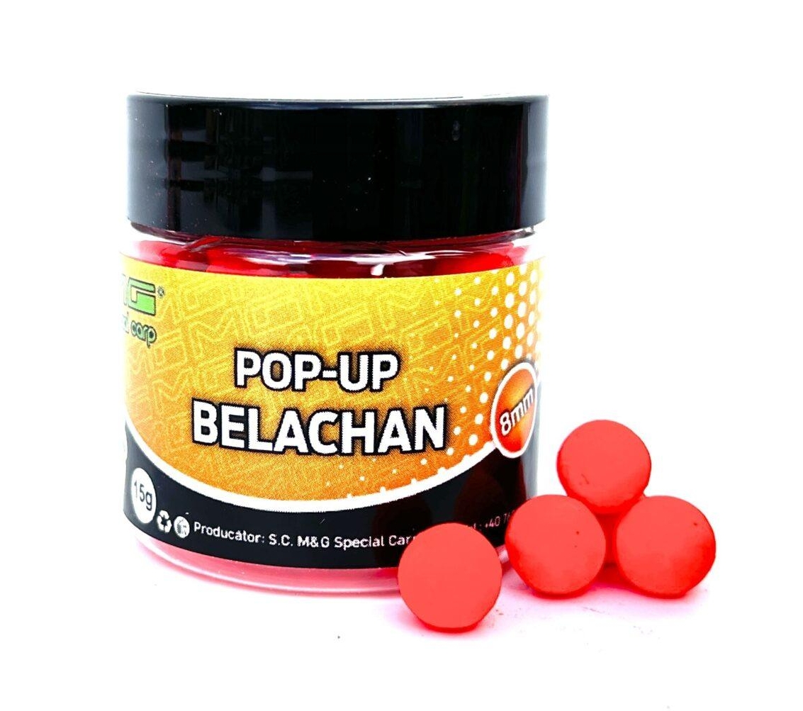 Pop-up MG Special Carp Belachan, 8mm, 15g