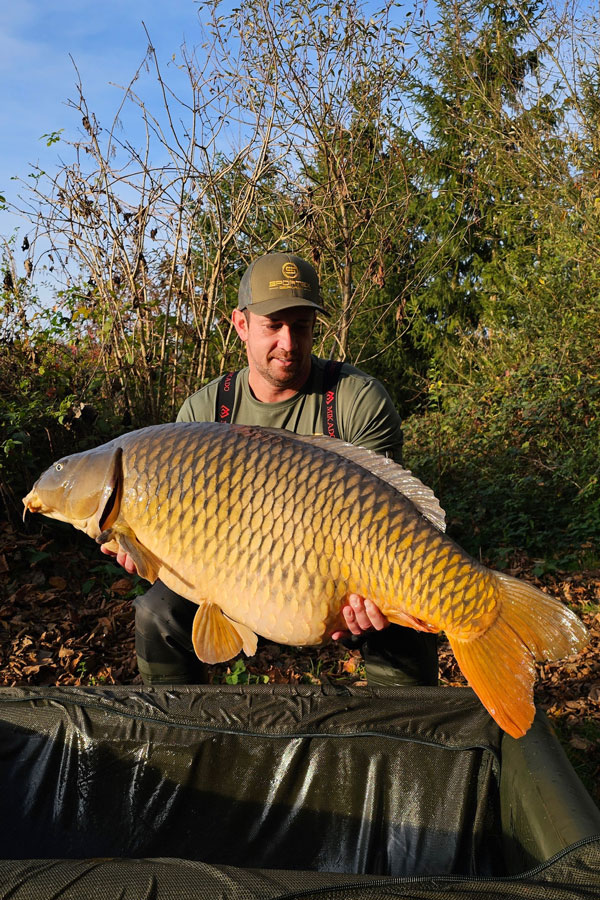 Lansetă Sportex Beyond Carp CS-2, 3.96m/3.75lbs, 2buc
