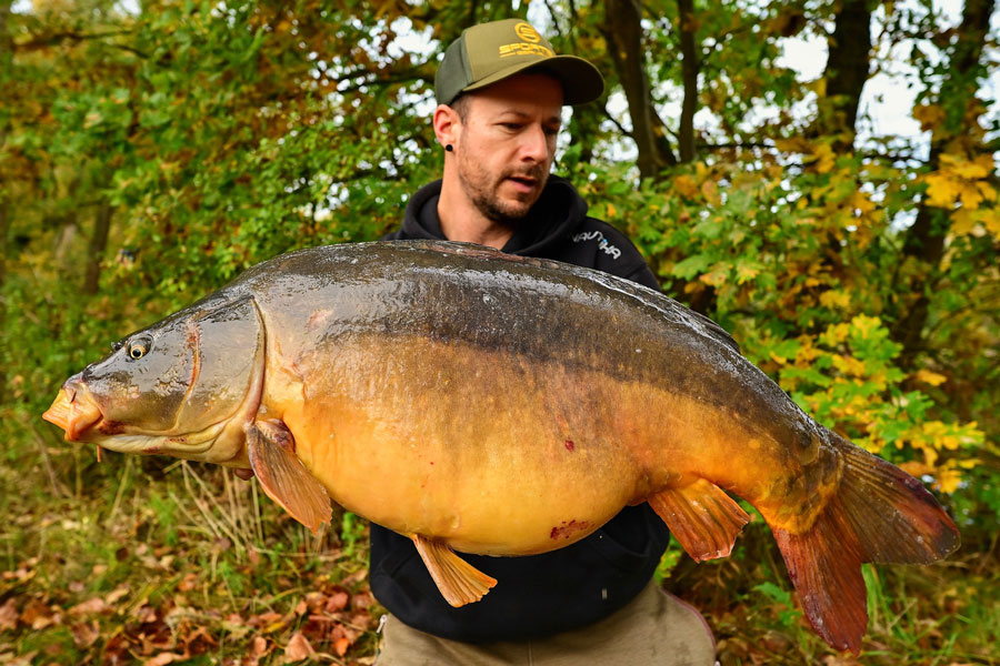 Lansetă Sportex D.N.A CS-3 Distance Carp, 3.96m/3-5oz, 2buc