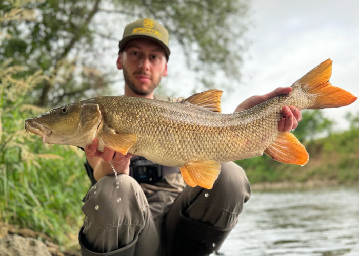 Lansetă Sportex Rapid Feeder RS-2 Medium XS, 3.00m/80-150g, 2buc