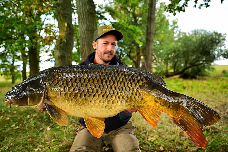 Lansetă Sportex Specimen Carp CS-2, 3.96m/3.50lbs, 2buc