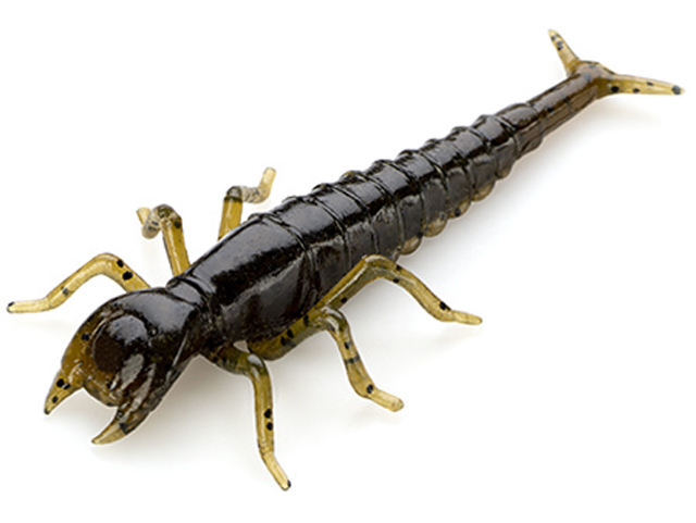 Larve FishUp Diving Bug, Culoare 043 Watermelon Brown Black, 5cm, 8buc/plic