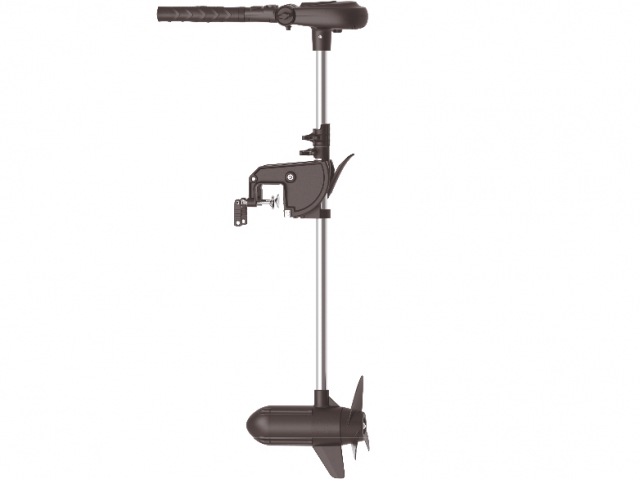 Motor electric Haswing Protruar 3HP 110lbs Brushless