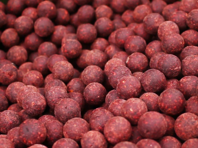 Boilies Select Baits, 24mm, Meat&Fish + Squid&Octopus&Cranberry, 1kg